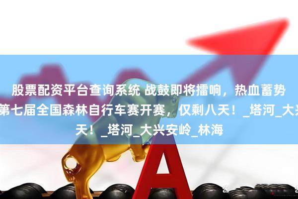 股票配资平台查询系统 战鼓即将擂响，热血蓄势待发！距离第七届全国森林自行车赛开赛，仅剩八天！_塔河_大兴安岭_林海