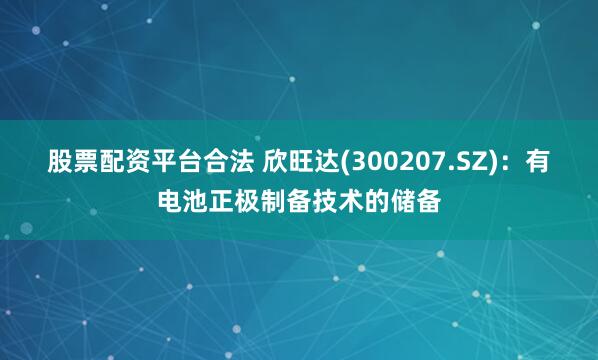 股票配资平台合法 欣旺达(300207.SZ)：有电池正极制备技术的储备